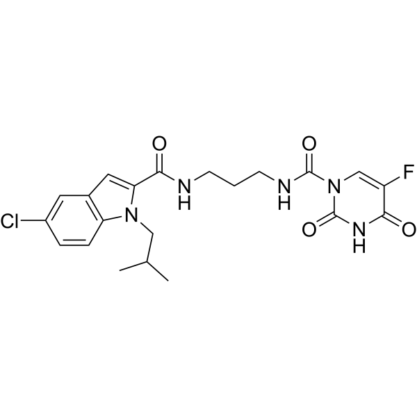 SARS-CoV-2-IN-58